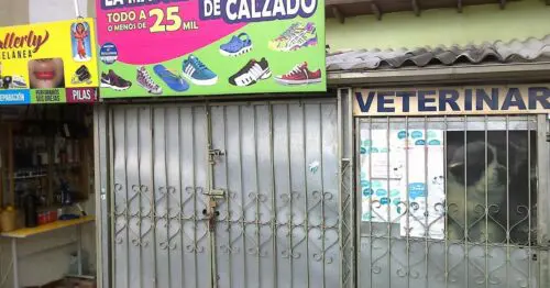 LA MAYORITARIA DE CALZADO CAJICA LA MAYORITARIA DE CALZADO CAJICA